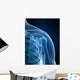 radiograph of the shoulder Wall Mural