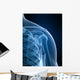 radiograph of the shoulder Wall Mural