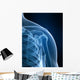 radiograph of the shoulder Wall Mural
