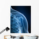radiograph of the shoulder Wall Mural