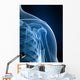 radiograph of the shoulder Wall Mural
