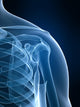 radiograph of the shoulder Wall Mural