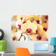 Beautiful yellow orchid Wall Mural