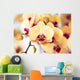 Beautiful yellow orchid Wall Mural