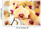 Beautiful yellow orchid Wall Mural