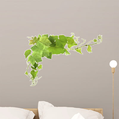 Vine Leaves Wall Decal shown on a wall