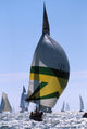 America's Cup Jubilee / Cowes Wall Mural
