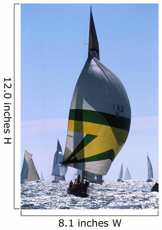 America's Cup Jubilee / Cowes Wall Mural