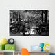 Wall Decal Wall Mural