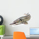 Sturgeon fish Wall Decal