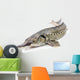 Sturgeon fish Wall Decal