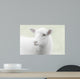 White lamb on green background Wall Mural