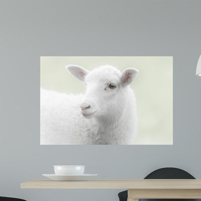White Lamb Green Wall Mural shown on a wall