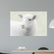 White lamb on green background Wall Mural