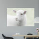 White lamb on green background Wall Mural