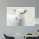 White lamb on green background Wall Mural