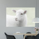 White lamb on green background Wall Mural