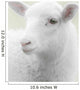 White lamb on green background Wall Mural