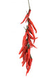 A string of dried red hot chili peppers isolated on white Wall Decal