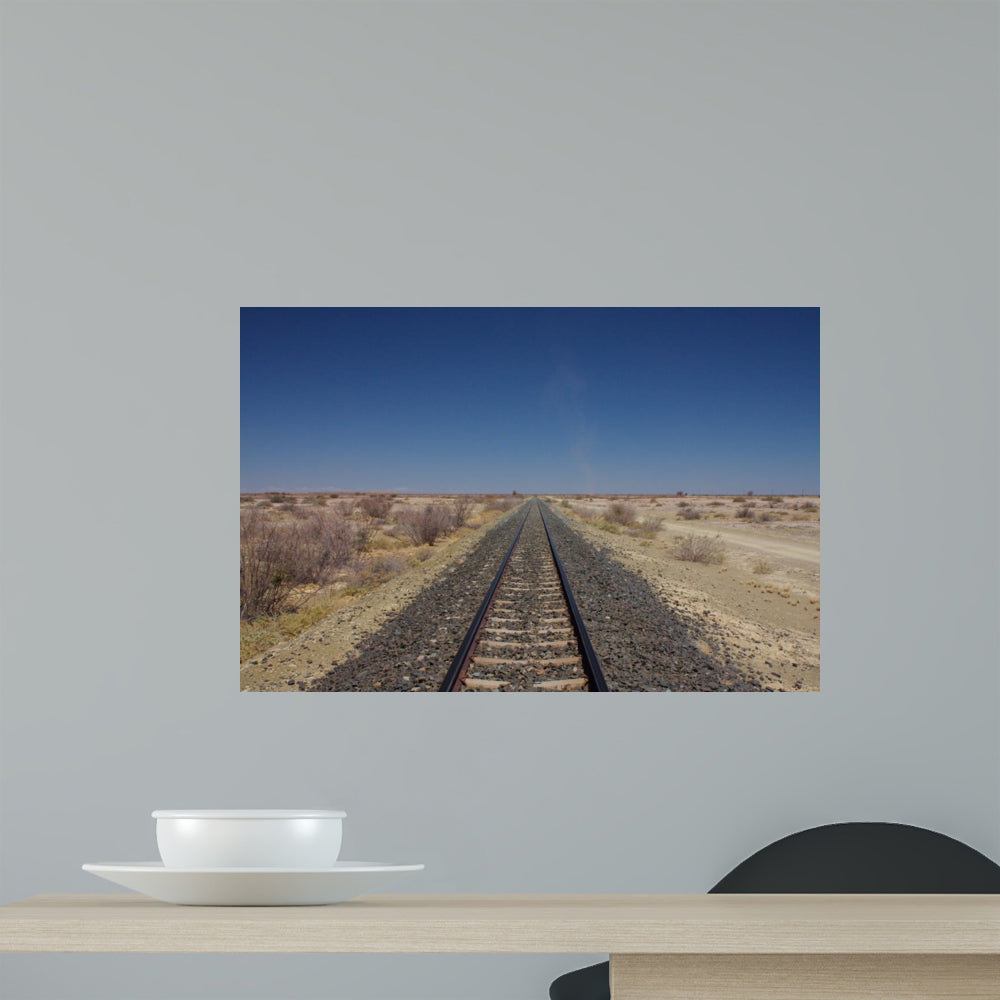 Endless Tracks through Desert – Wallmonkeys