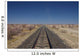 Endless tracks through the desert 