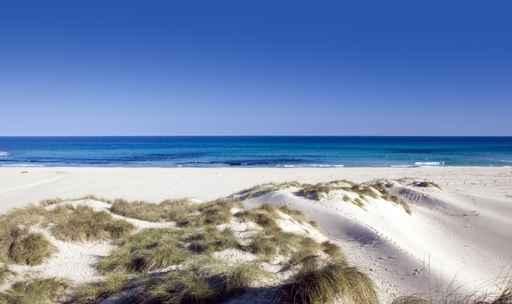 Cala Mesquida 2 Wall Decal