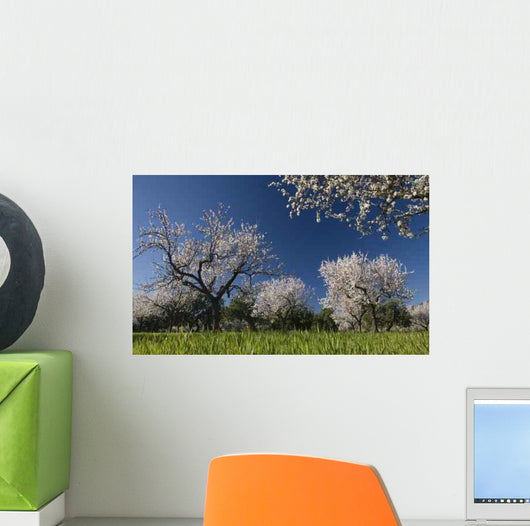 Primavera 3 Wall Decal