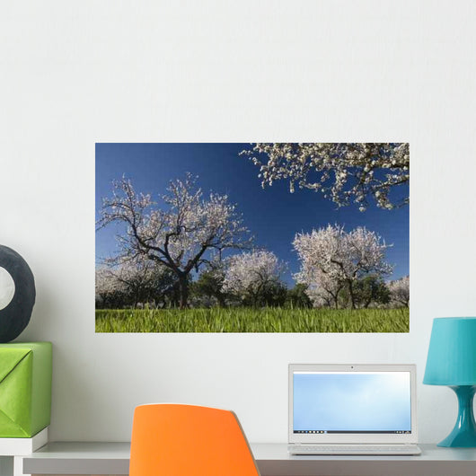 Primavera 3 Wall Decal