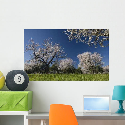 Primavera 3 Wall Decal