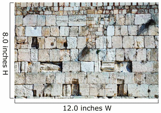 wailing wall jerusalem Wall Mural