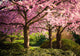 Colors of spring Wall Mural