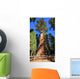 General Sherman Tree Wall Mural