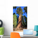 General Sherman Tree Wall Mural