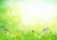 Abstract floral background 
