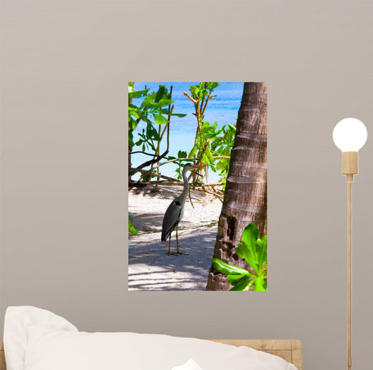 Holiday Paradise 