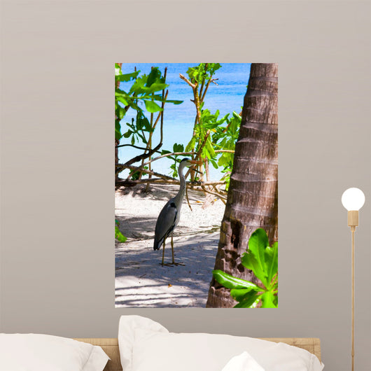 Holiday Paradise 