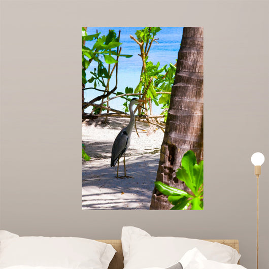 Holiday Paradise 