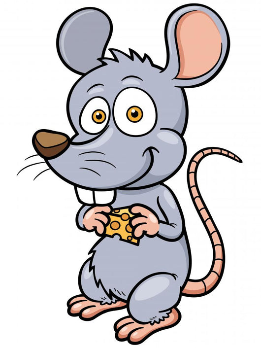 Vector illustration of cartoon rat Wall Decal