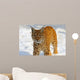 Lynx in Their 
