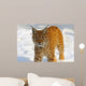 Lynx in Their 