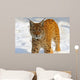 Lynx in Their 