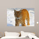 Lynx in Their 