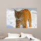 Lynx in Their 