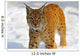 Lynx in Their 