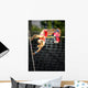 Pole vault Wall Mural