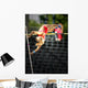Pole vault Wall Mural