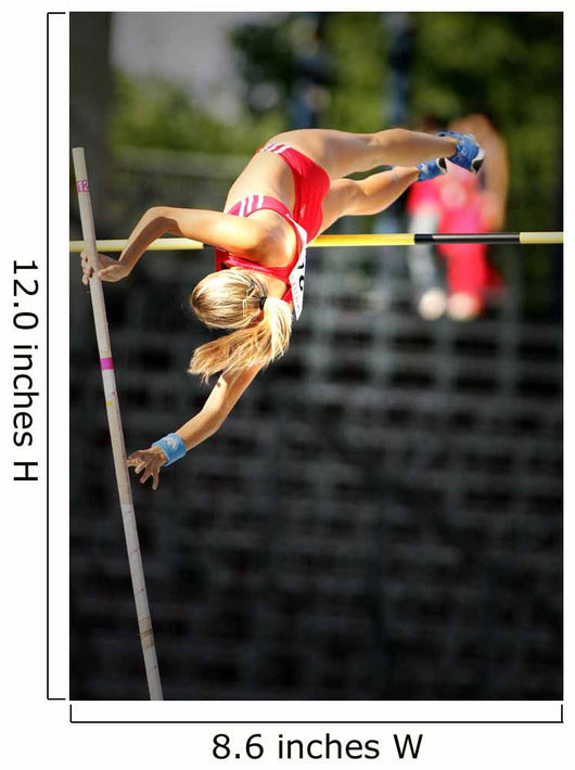 Pole vault Wall Mural