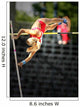 Pole vault Wall Mural