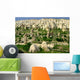 Cappadocia Wall Decal