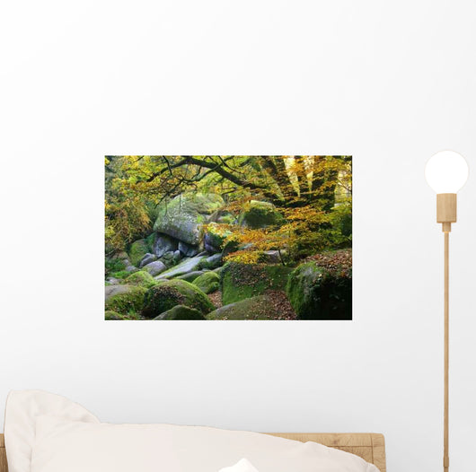 Fall Wall Decal